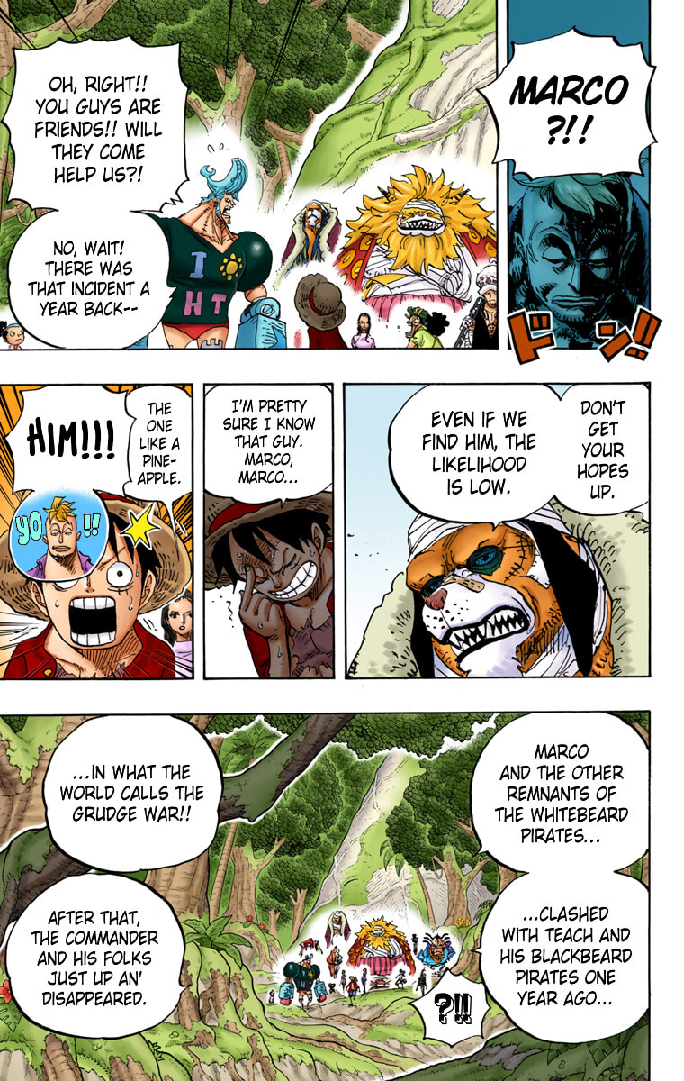 Read One Piece (Colored) chapter 820 image 10 on Lezhin