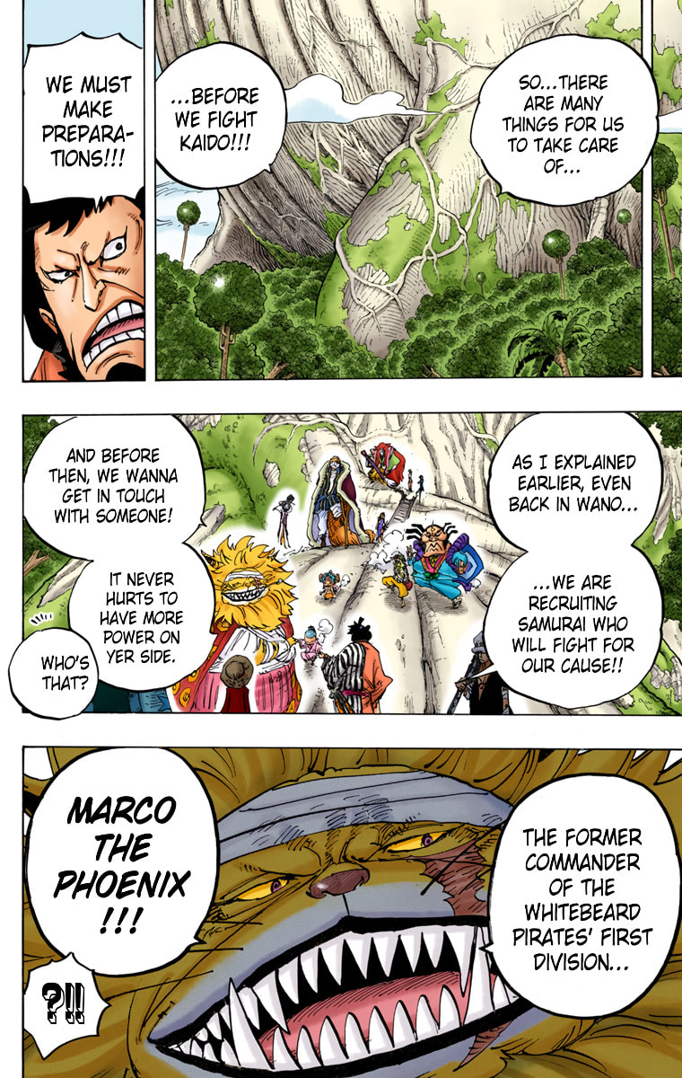 Read One Piece (Colored) chapter 820 image 9 on Lezhin
