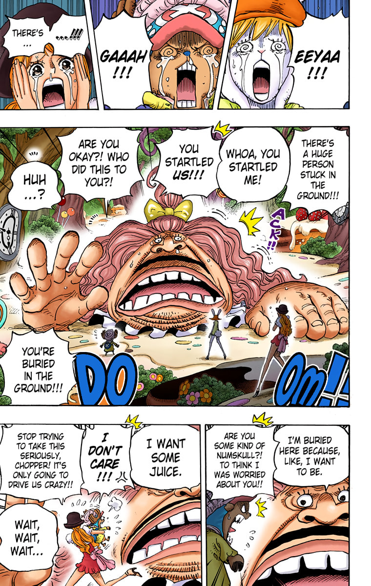 Read One Piece (Colored) chapter 831 image 14 on Lezhin