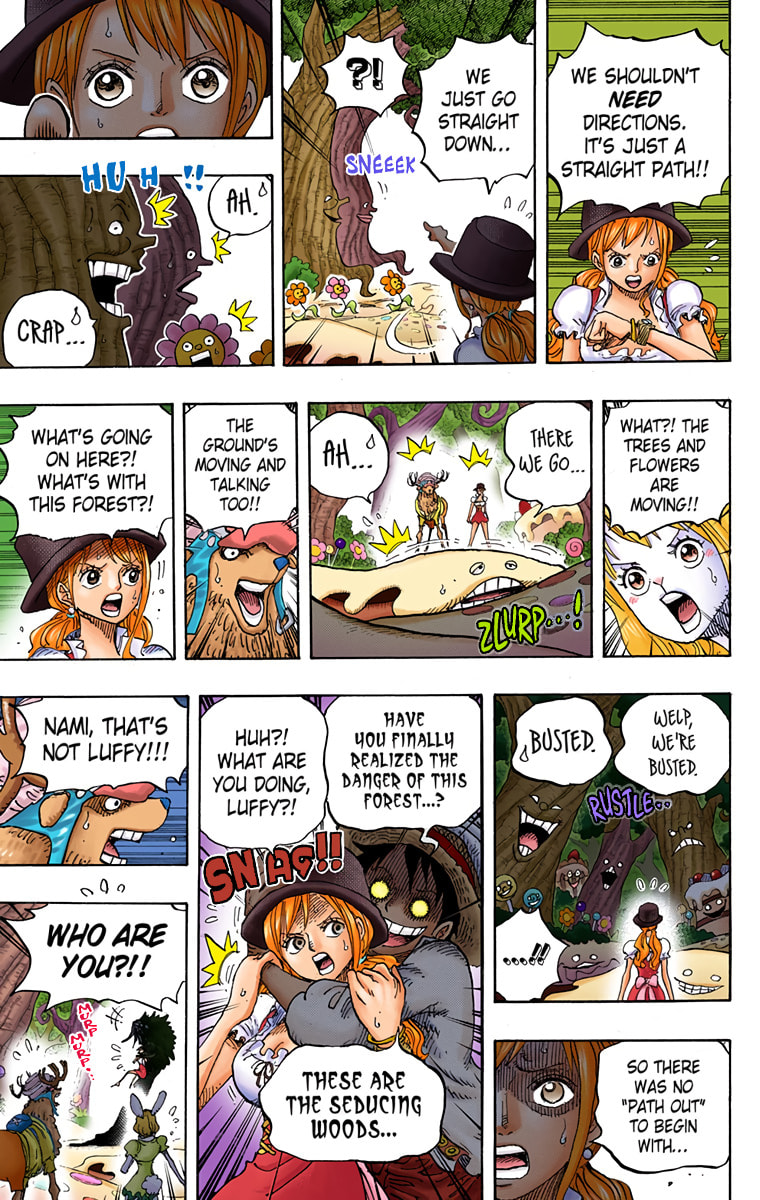 Read One Piece (Colored) chapter 832 image 10 on Lezhin
