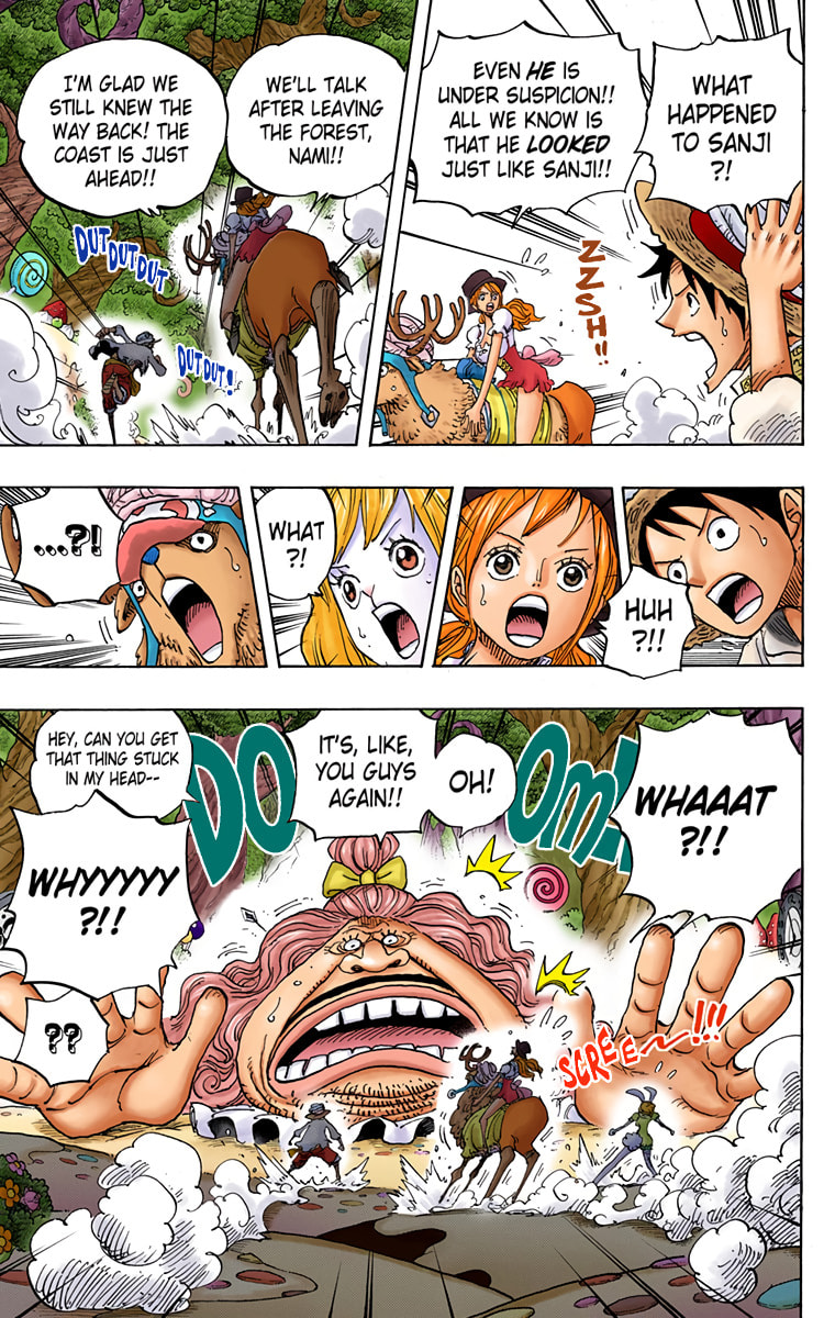Read One Piece (Colored) chapter 832 image 8 on Lezhin