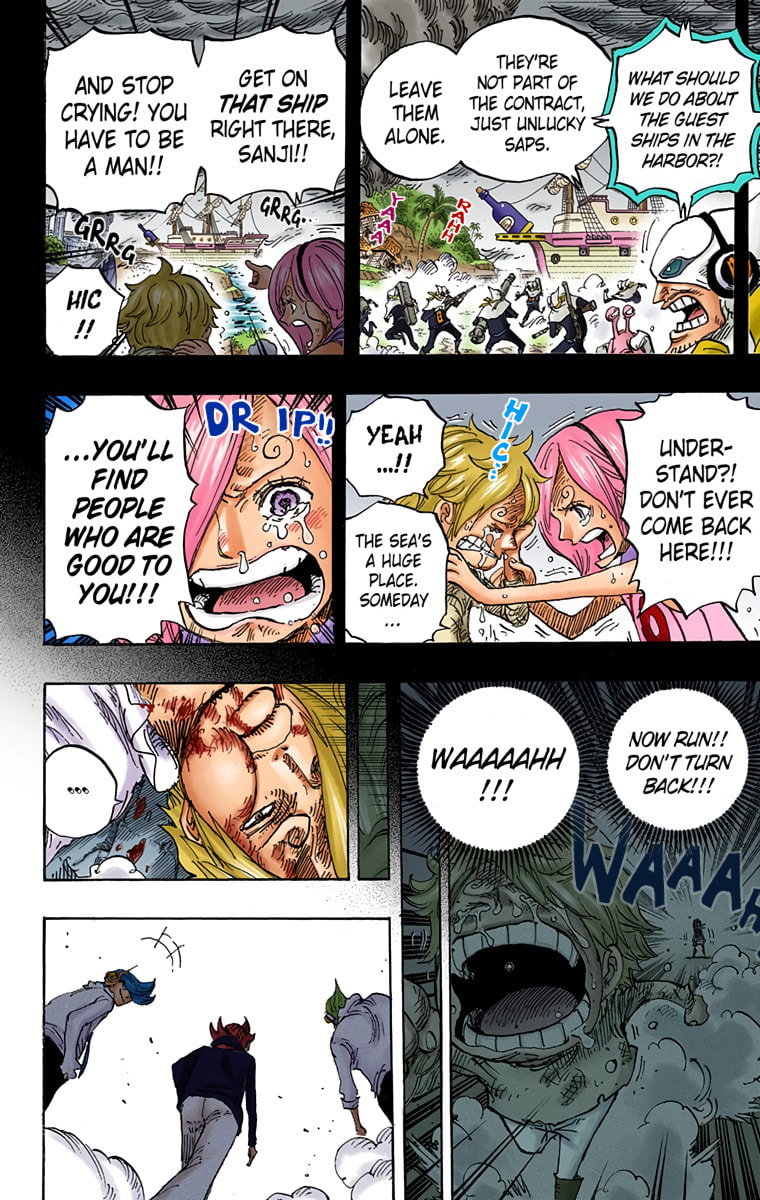 Read One Piece (Colored) chapter 841 image 13 on Lezhin
