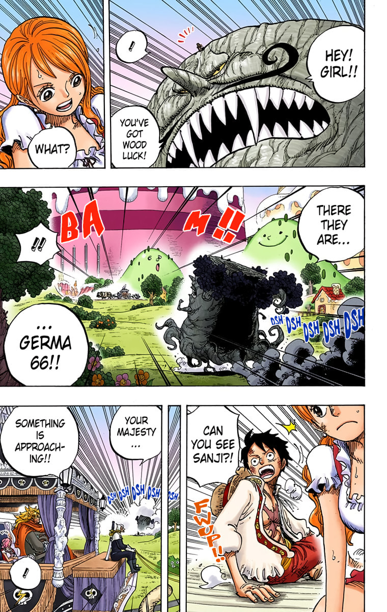 Read One Piece (Colored) chapter 843 image 11 on Lezhin