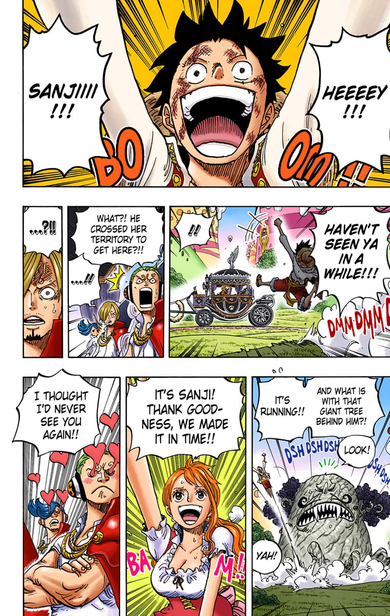 Read One Piece (Colored) chapter 843 image 12 on Lezhin