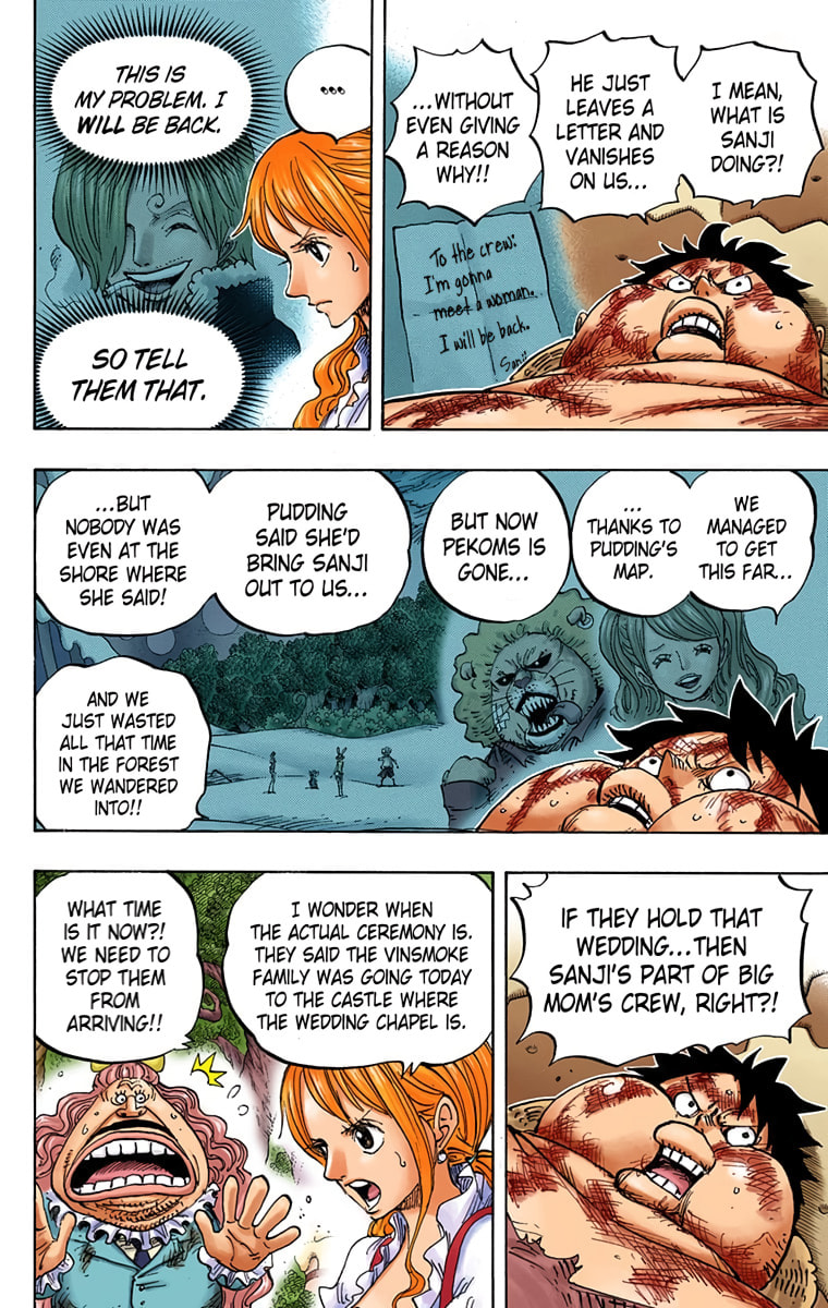 Read One Piece (Colored) chapter 843 image 8 on Lezhin
