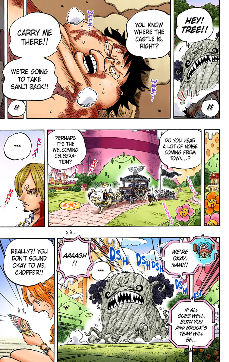 Read One Piece (Colored) chapter 843 image 9 on Lezhin
