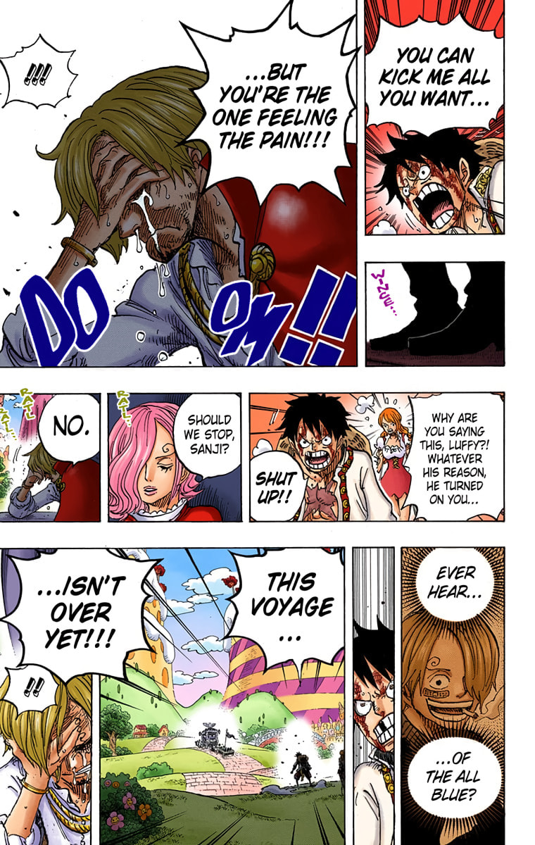 Read One Piece (Colored) chapter 844 image 13 on Lezhin