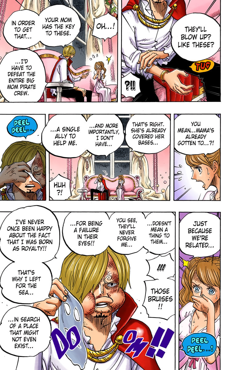Read One Piece (Colored) chapter 845 image 11 on Lezhin