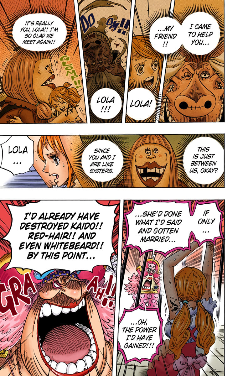Read One Piece (Colored) chapter 847 image 14 on Lezhin