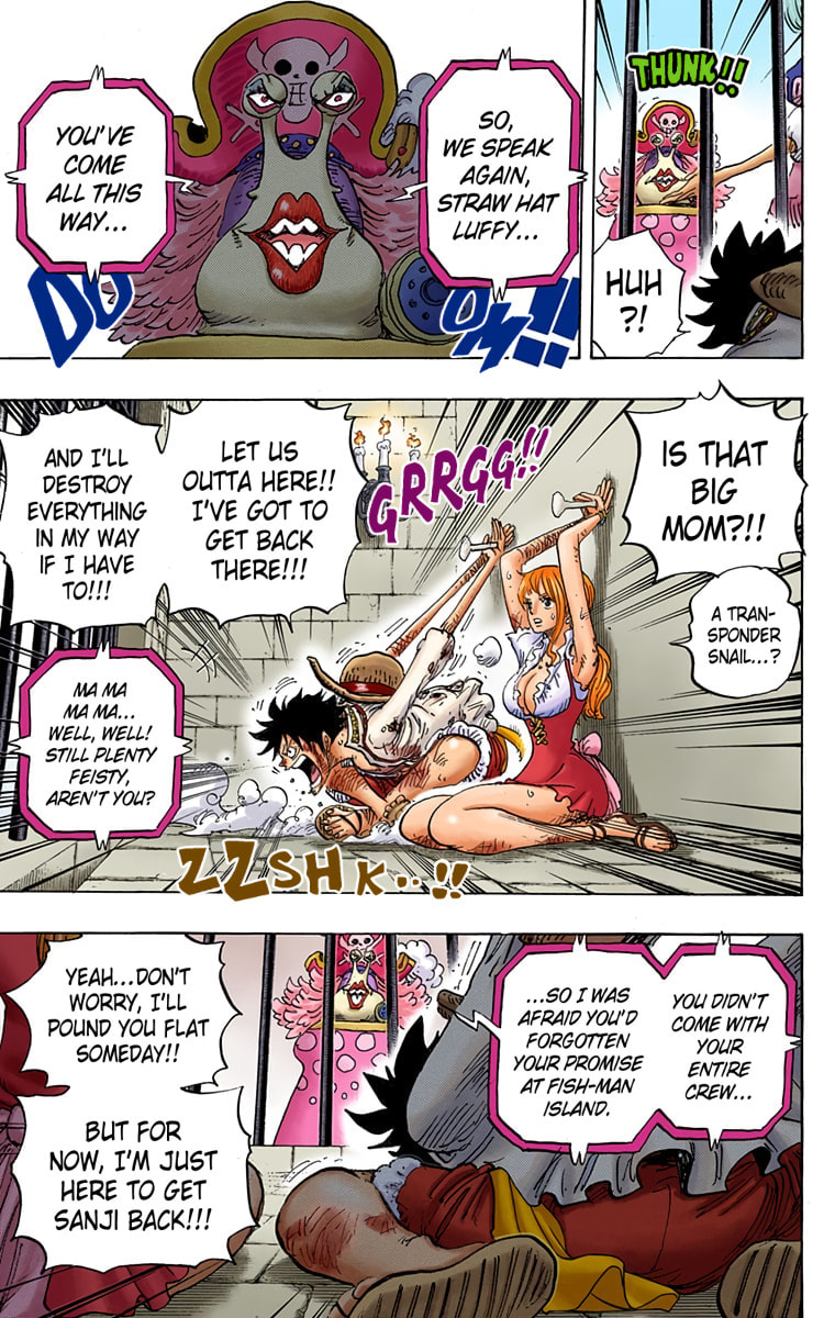 Read One Piece (Colored) chapter 847 image 8 on Lezhin
