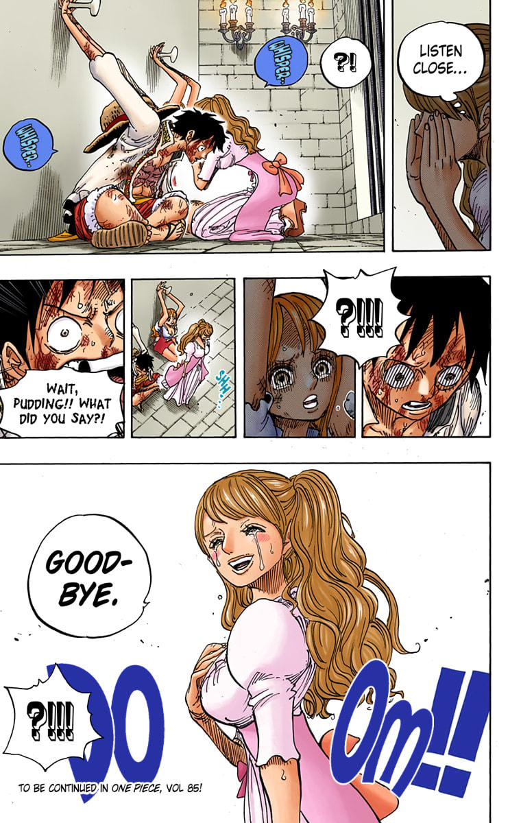 Read One Piece (Colored) chapter 848 image 17 on Lezhin