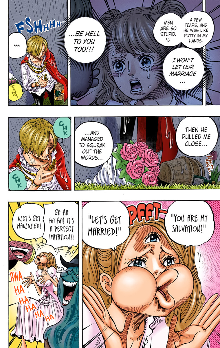 Read One Piece (Colored) chapter 851 image 5 on Lezhin