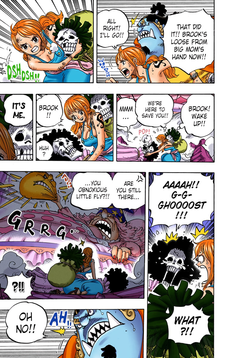 Read One Piece (Colored) chapter 855 image 9 on Lezhin