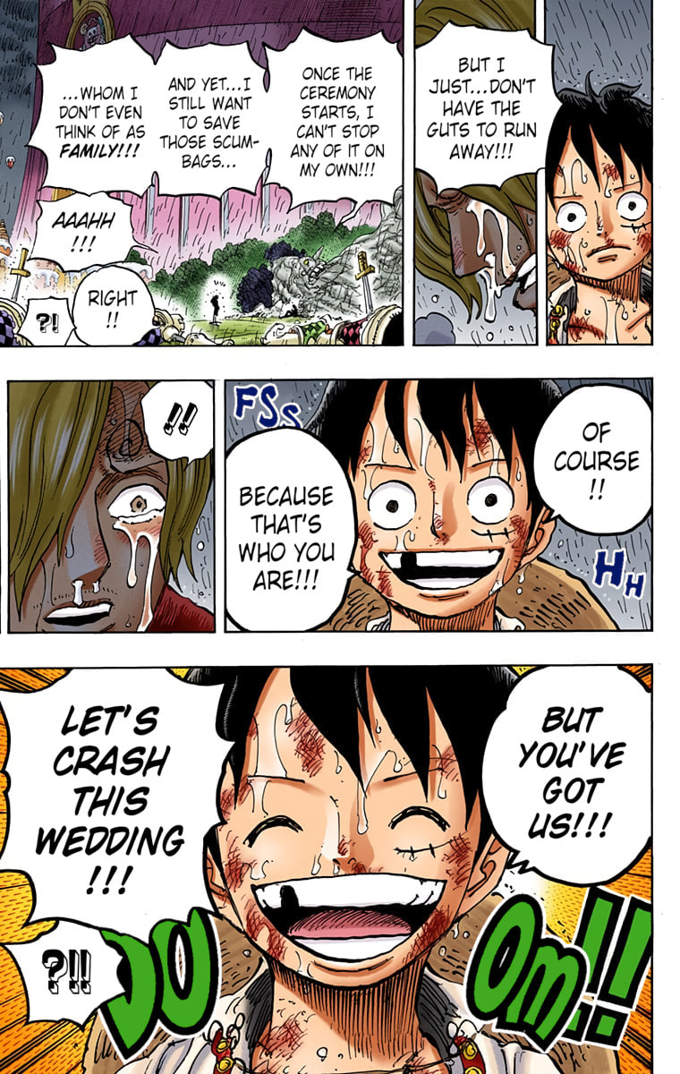 Read One Piece (Colored) chapter 856 image 16 on Lezhin