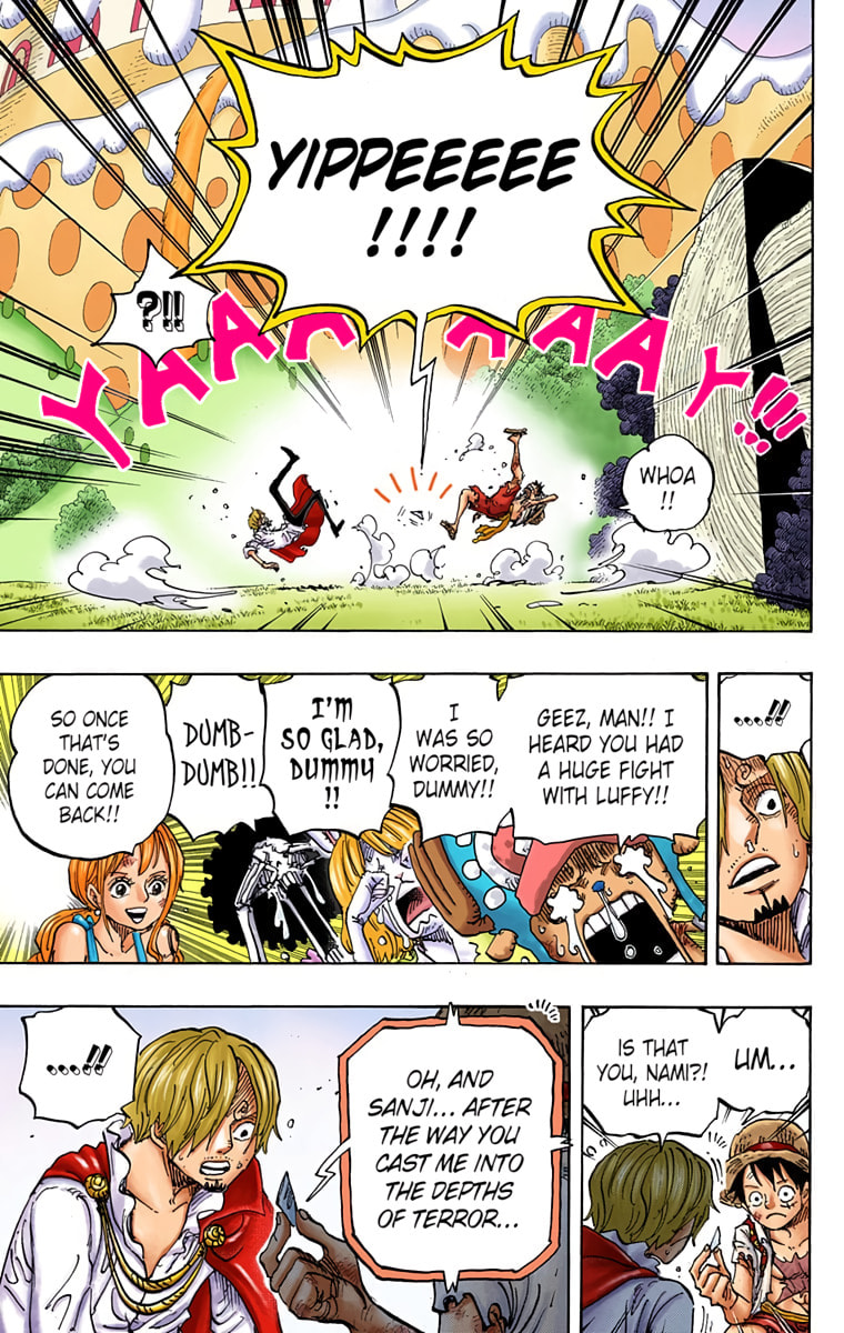 Read One Piece (Colored) chapter 857 image 6 on Lezhin