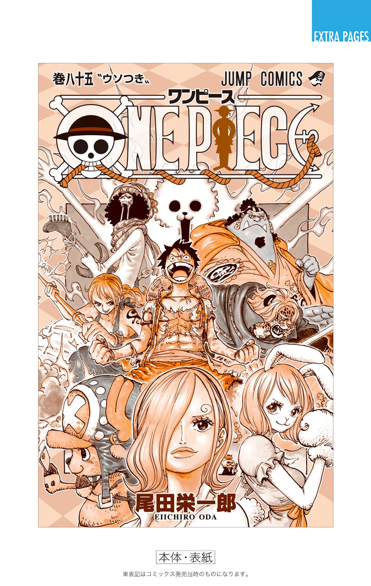 Read One Piece (Colored) chapter 858 image 27 on Lezhin