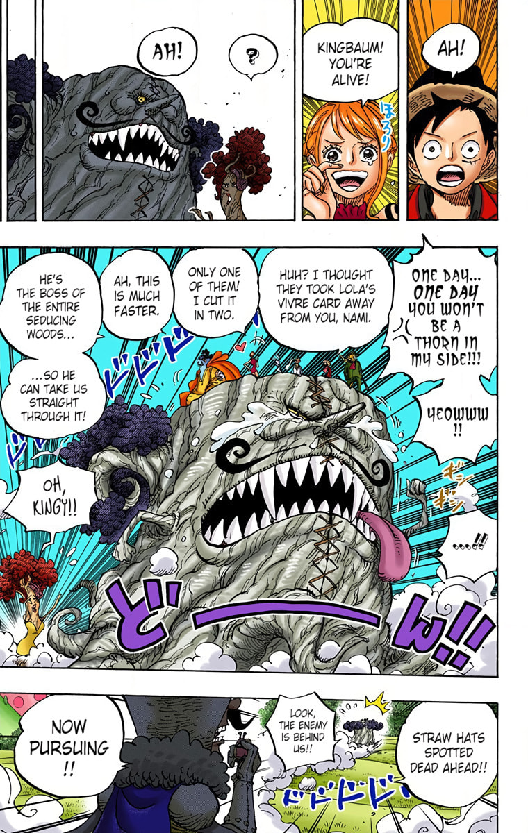 Read One Piece (Colored) chapter 873 image 13 on Lezhin