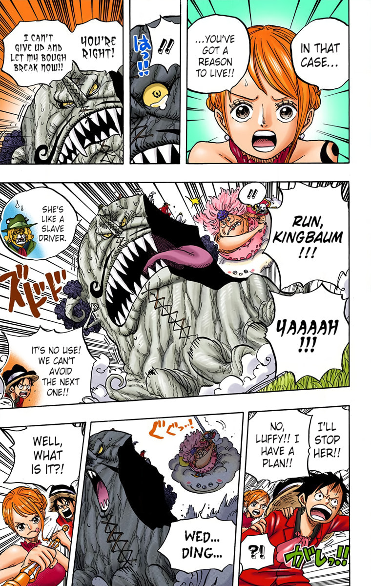 Read One Piece (Colored) chapter 874 image 5 on Lezhin