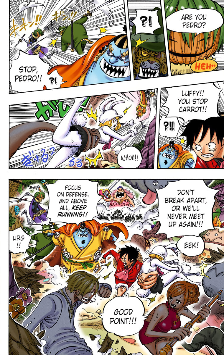 Read One Piece (Colored) chapter 875 image 9 on Lezhin