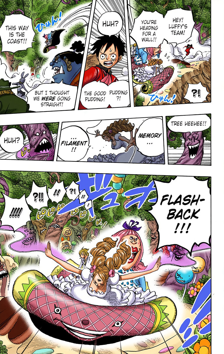 Read One Piece (Colored) chapter 876 image 11 on Lezhin