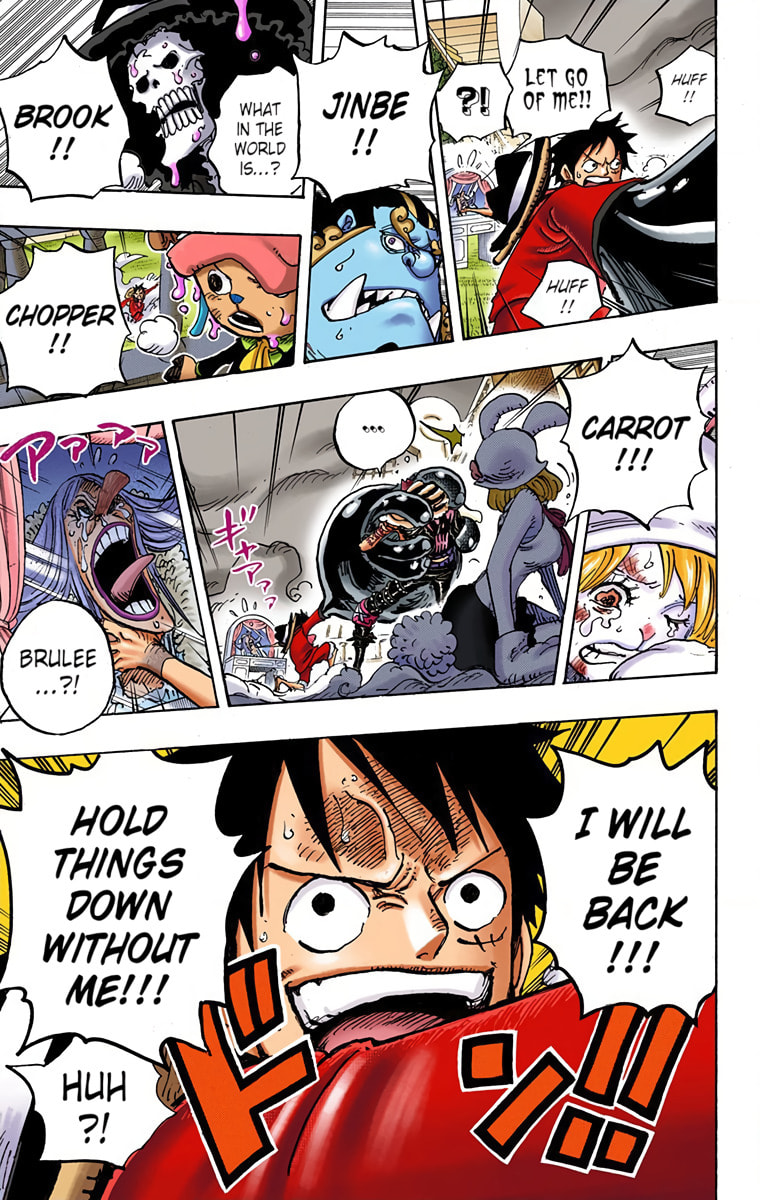 Read One Piece (Colored) chapter 878 image 14 on Lezhin