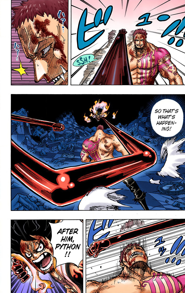 Read One Piece (Colored) chapter 895 image 4 on Lezhin