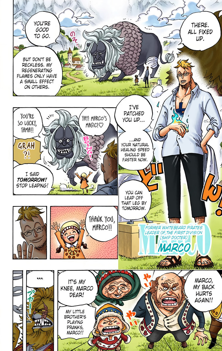 Read One Piece (Colored) chapter 909 image 3 on Lezhin