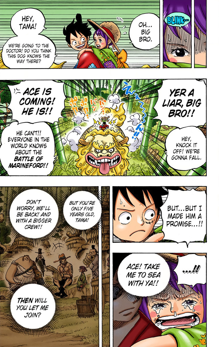 Read One Piece (Colored) chapter 912 image 10 on Lezhin