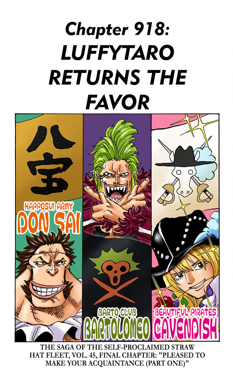 Read One Piece (Colored) chapter 918 image 0 on Lezhin