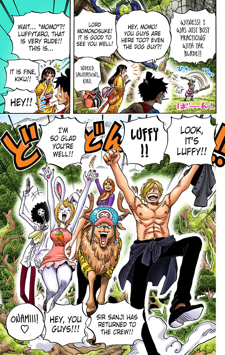 Read One Piece (Colored) chapter 919 image 12 on Lezhin