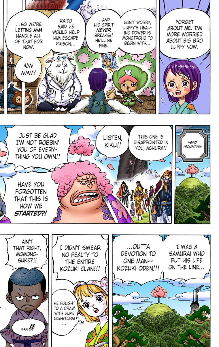 Read One Piece (Colored) chapter 925 image 13 on Lezhin