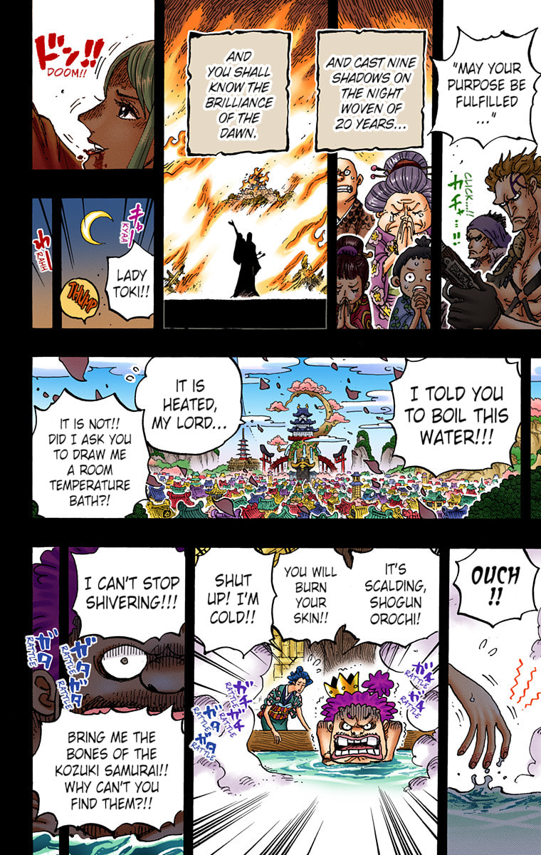 Read One Piece (Colored) chapter 973 image 11 on Lezhin