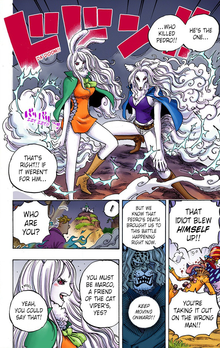Read One Piece (Colored) chapter 995 image 4 on Lezhin