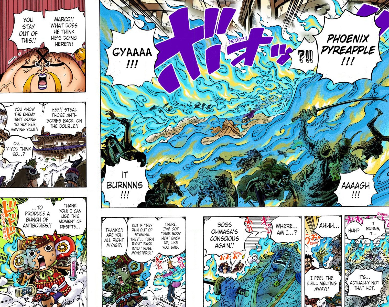 Read One Piece (Colored) chapter 998 image 3 on Lezhin