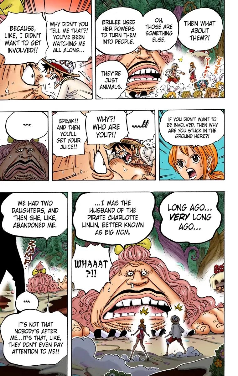 One Piece (Official Colored) Chapter 835 page 17 - 