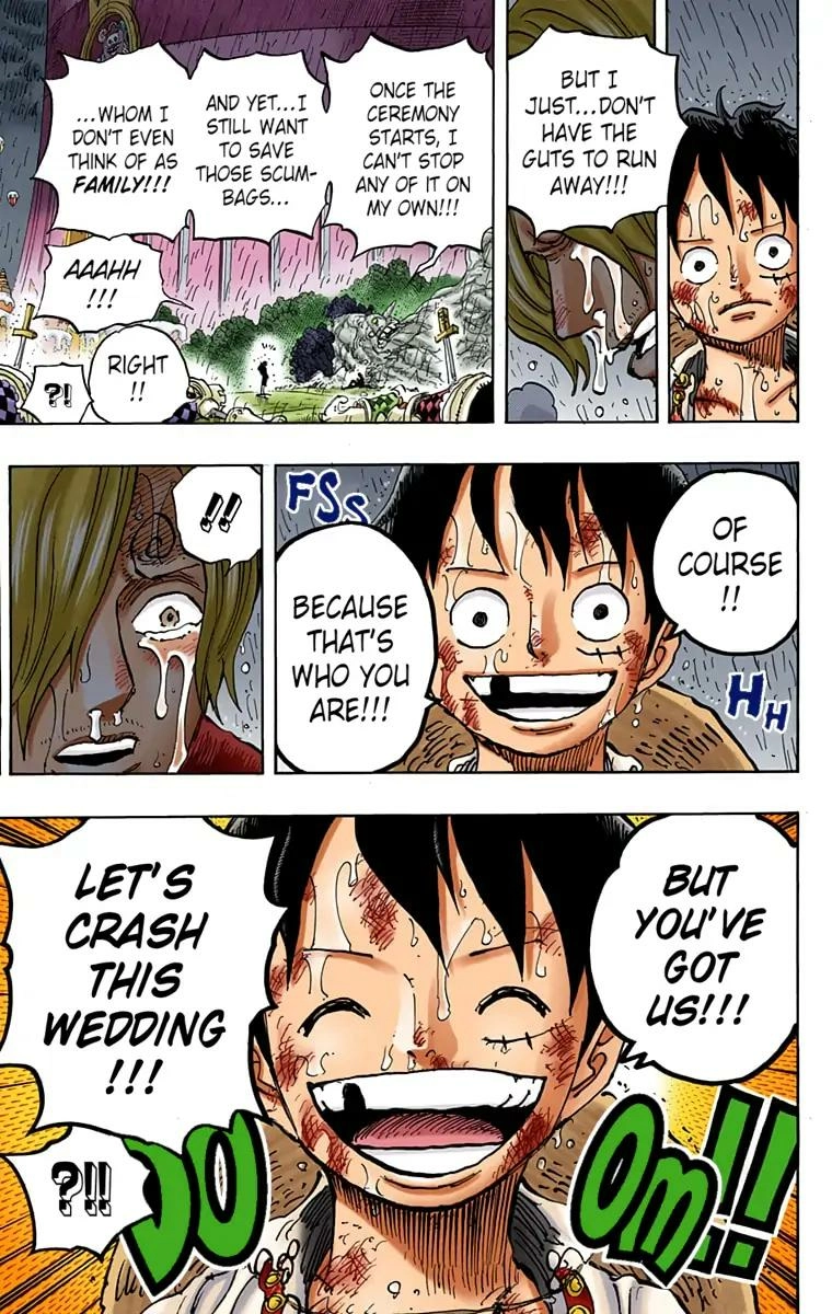One Piece (Official Colored) Chapter 856 page 17 - 