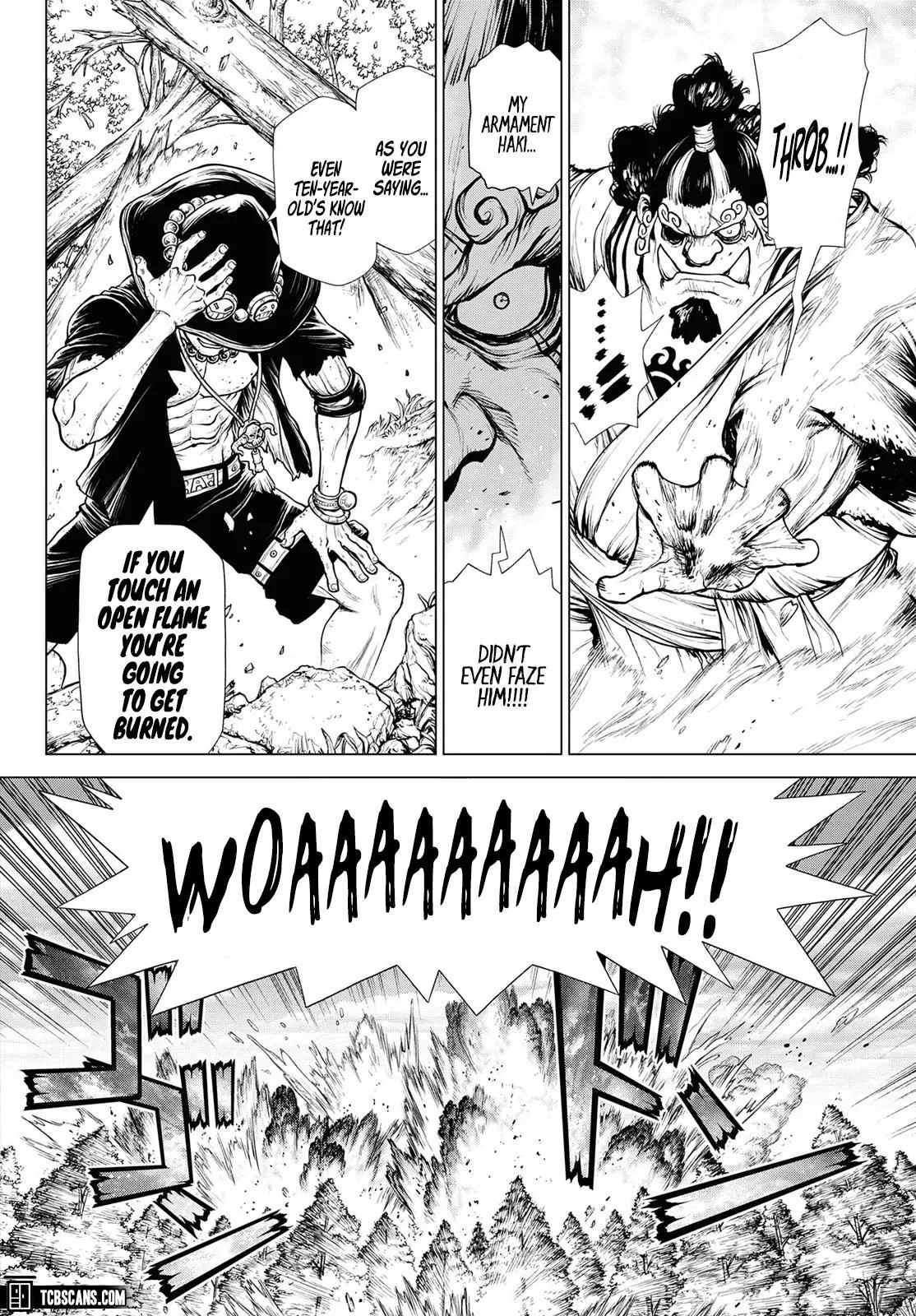 Read One Piece chapter 1003.5 image 36 on Lezhin