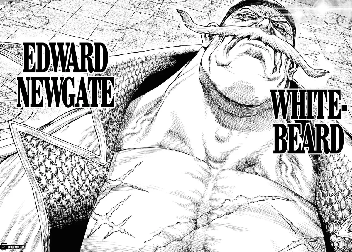 Read One Piece chapter 1003.5 image 40 on Lezhin