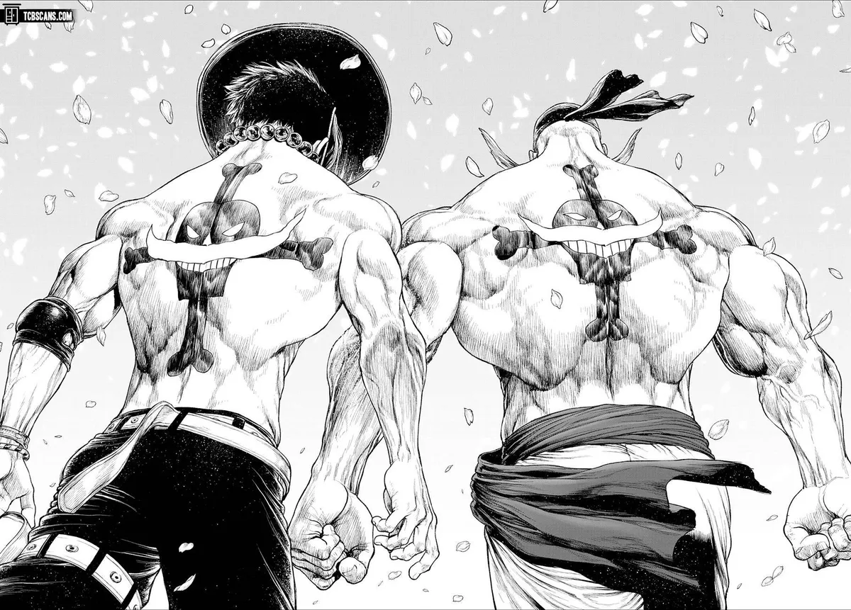 One Piece Chapter 1033.5 page 35 - 