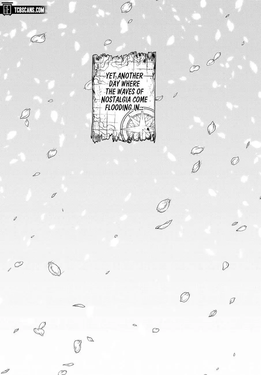One Piece Chapter 1033.5 page 36 - 