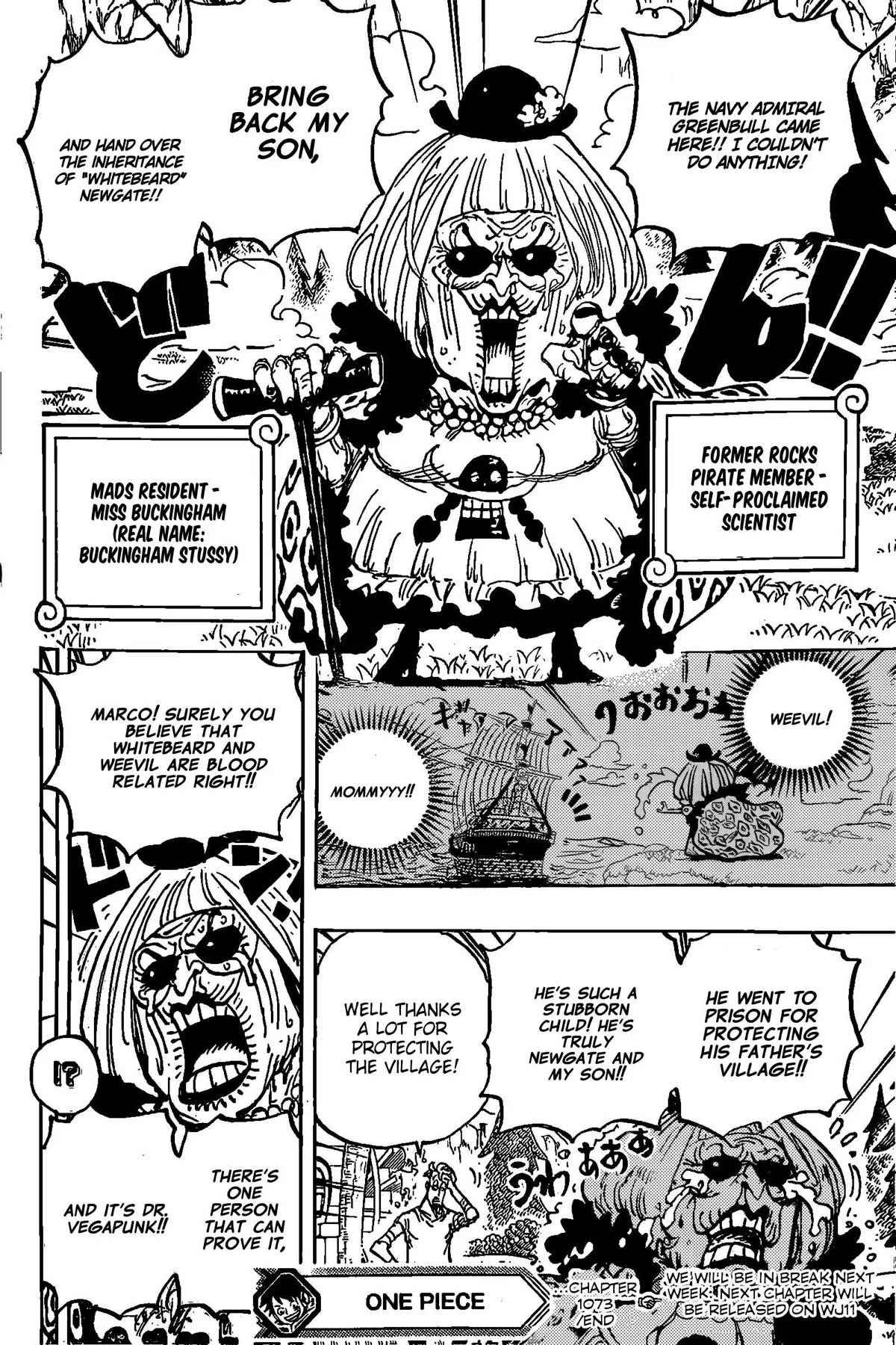 One Piece Chapter 1072.1 page 15 - 
