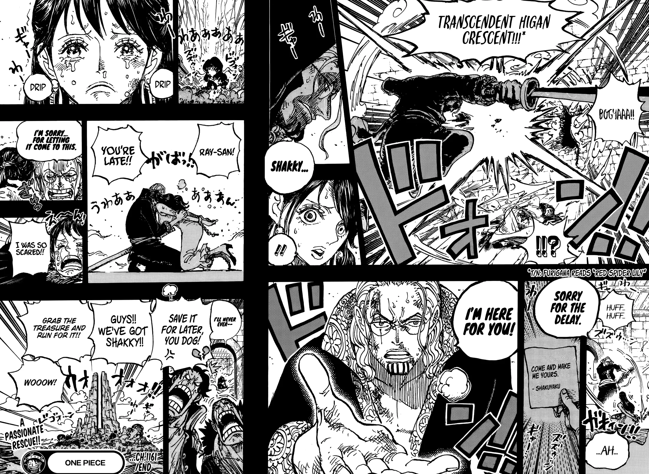 One Piece Chapter 1161 page 16 - 