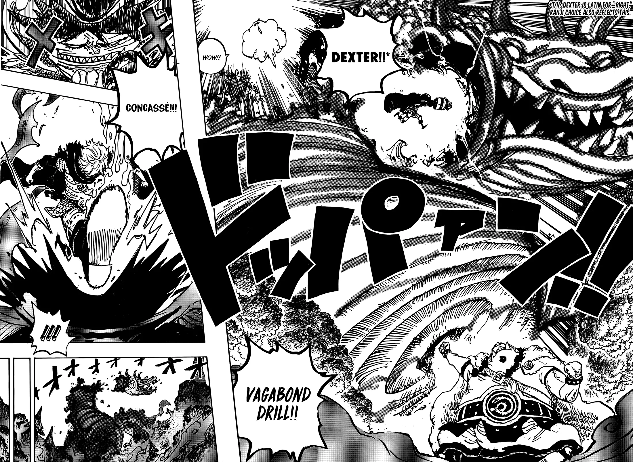 One Piece Chapter 1176 page 13 - 