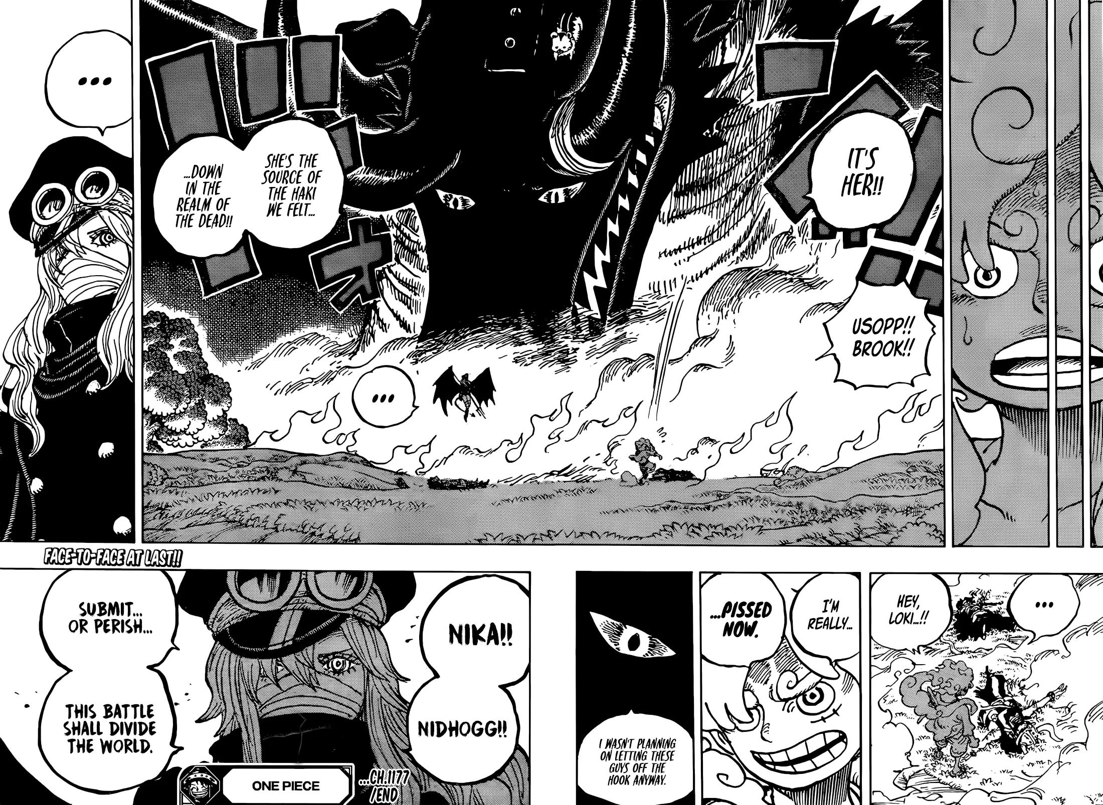 One Piece Chapter 1177 page 17 - 