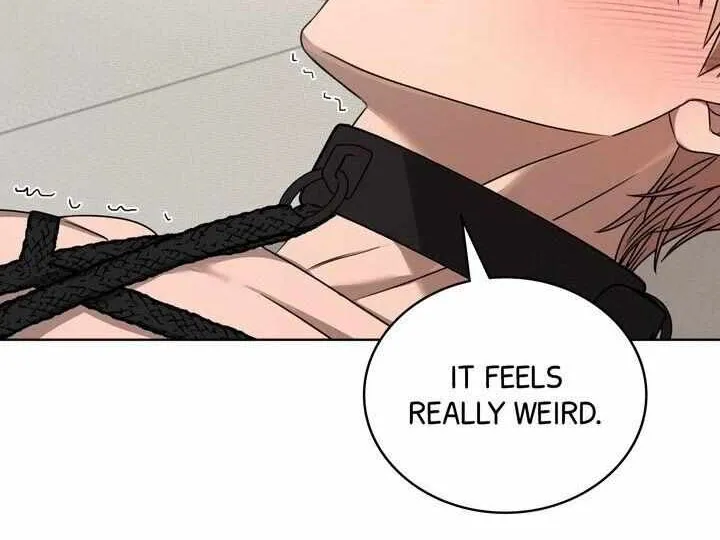 Read One Plus One Delivery Service chapter 15 image 46 on Lezhin