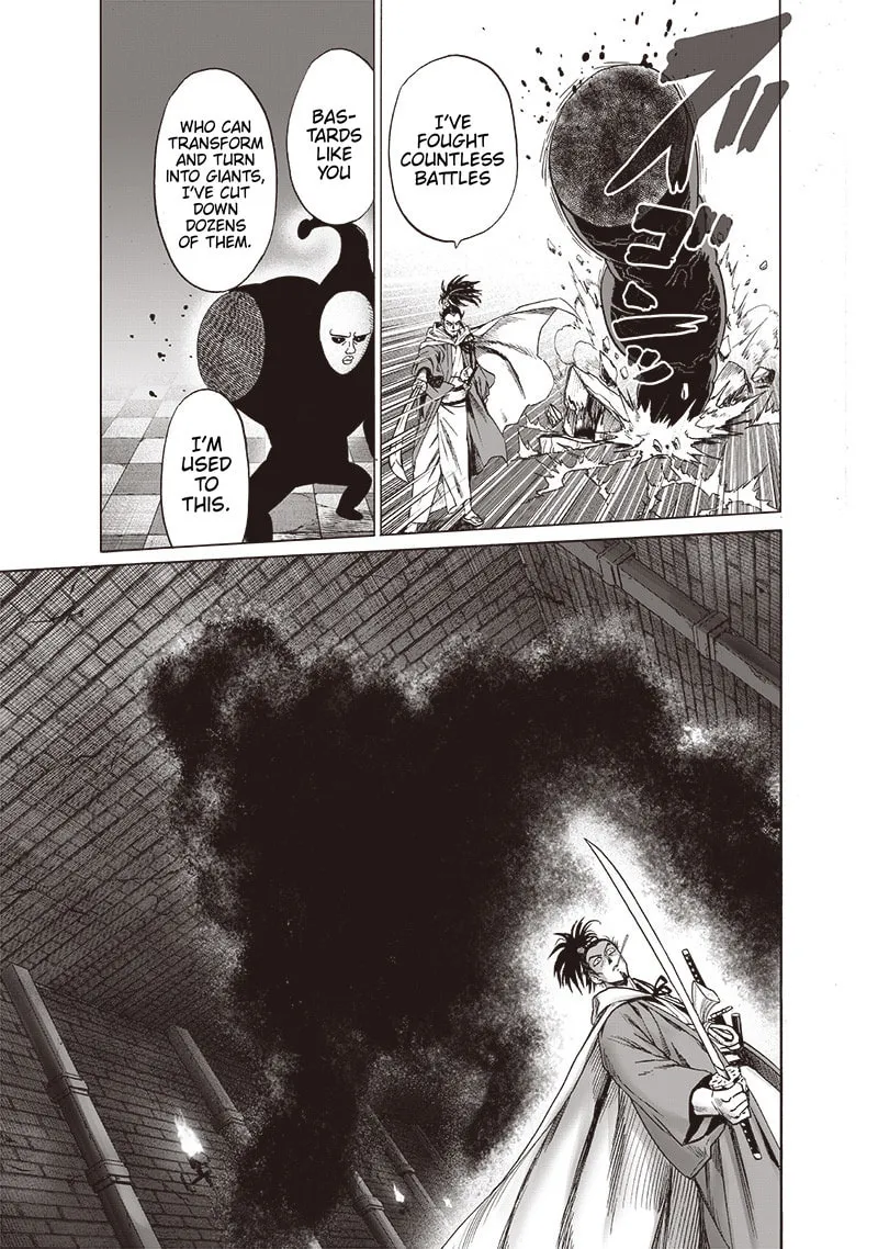 Read One-Punch Man (Fan Colored) (Colored) chapter 106 image 27 on Lezhin