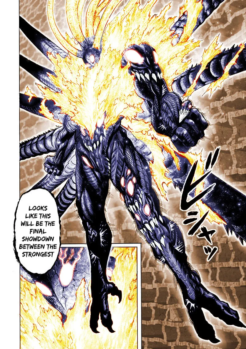 Read One-Punch Man (Fan Colored) (Colored) chapter 108 image 13 on Lezhin