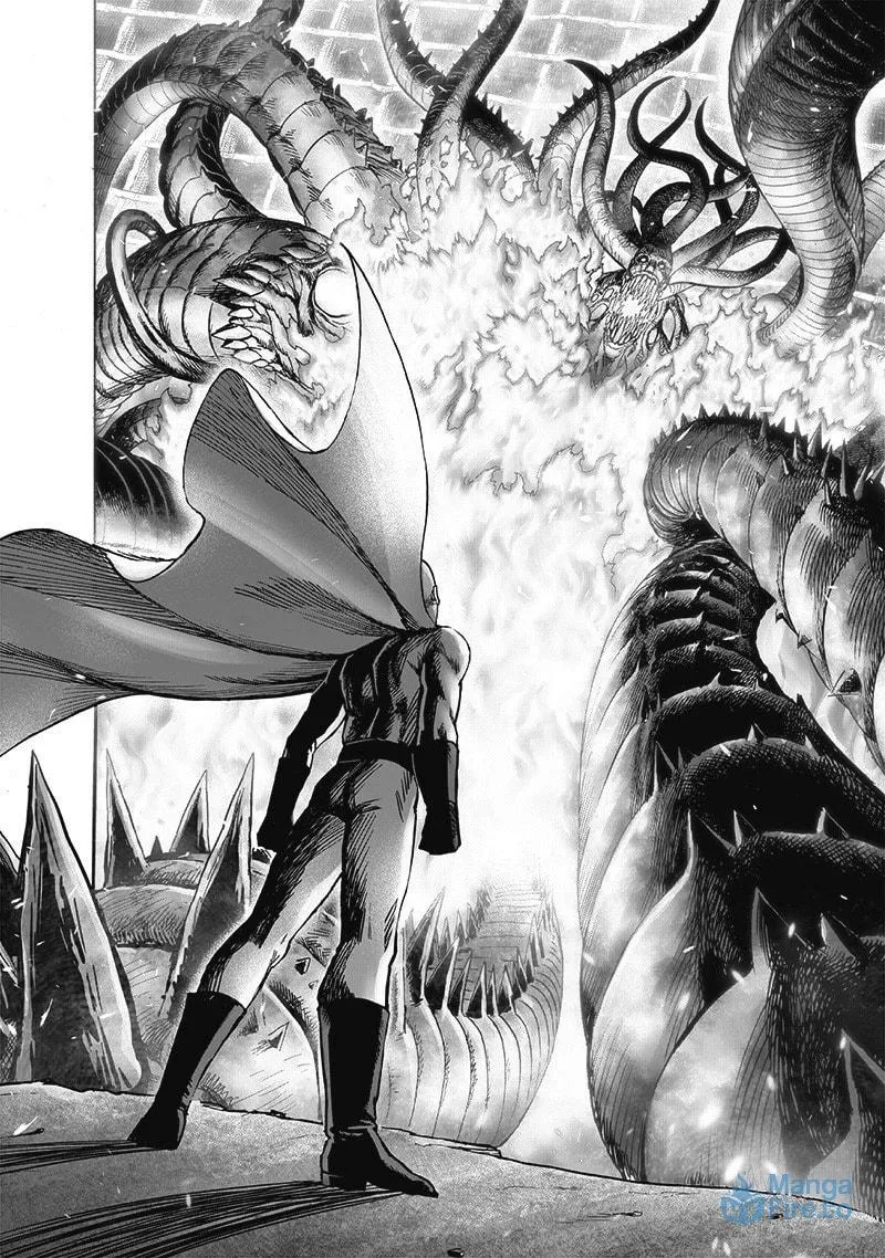 Read One-Punch Man (Fan Colored) (Colored) chapter 112 image 2 on Lezhin