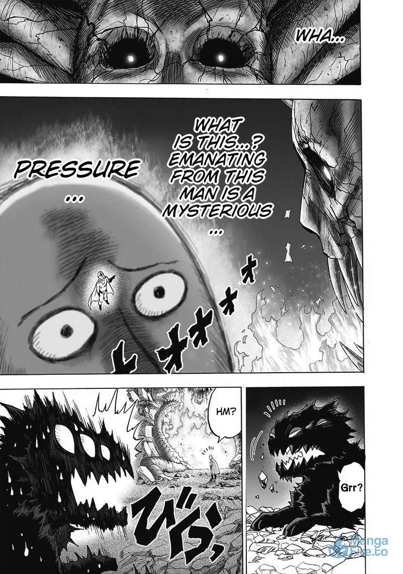 Read One-Punch Man (Fan Colored) (Colored) chapter 112 image 5 on Lezhin
