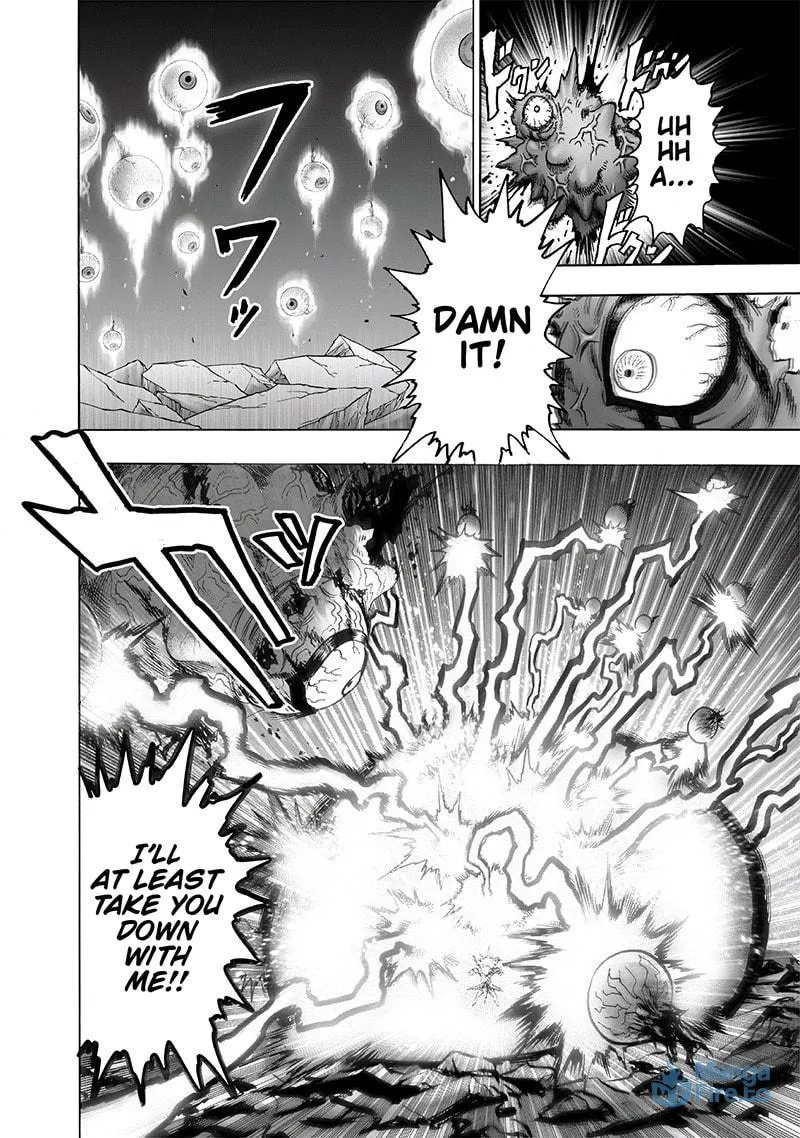 Read One-Punch Man (Fan Colored) (Colored) chapter 113 image 17 on Lezhin